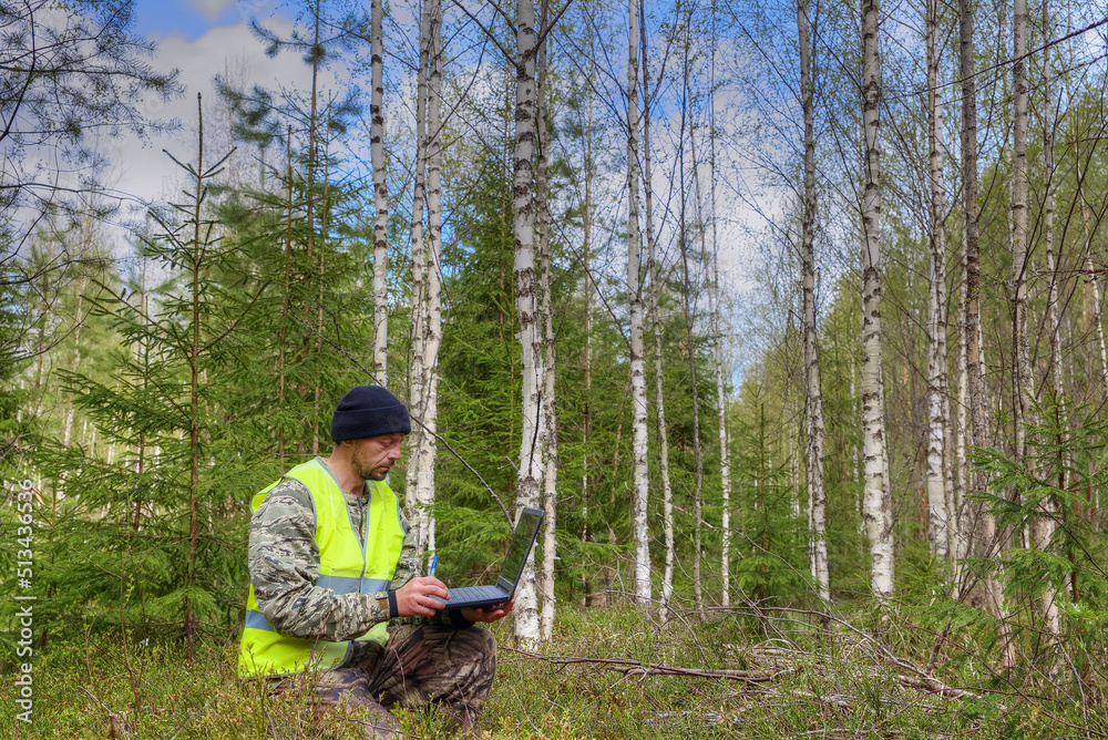 A forest engineer works on a computer in a birch forest. A forest engineer works on a computer in a birch forest.