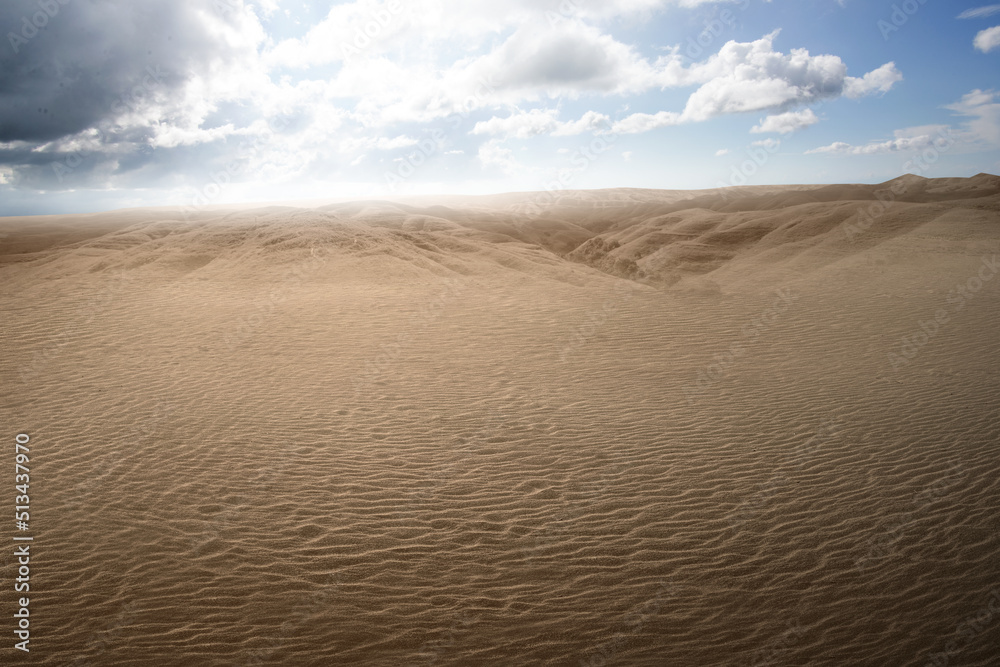 Views of sand dune Views of sand dune