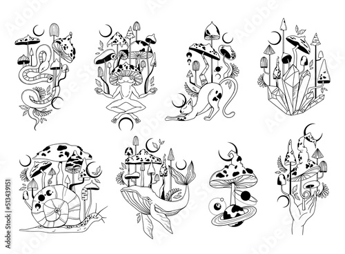 Mystical animals and magic mushrooms isolated clip art bundle, hand drawn mysterious compositions with celestial crystals, snake, frog, cat, whale, snail and mushrooms on white background, vector
