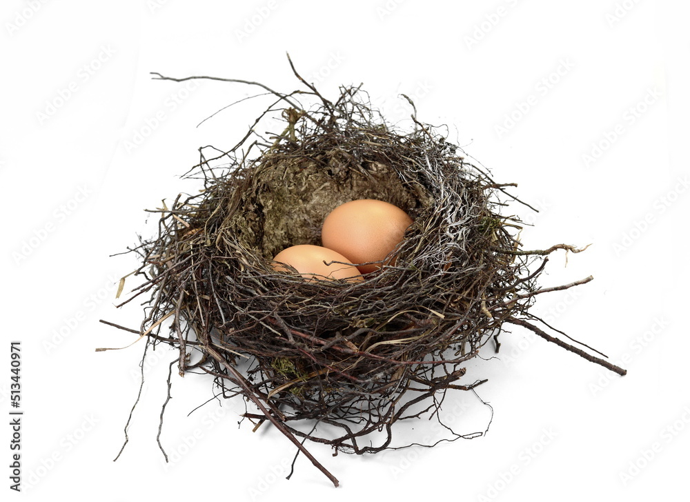 Two big eggs inside the small nest, isolated on white Two big eggs inside the small nest, isolated on white