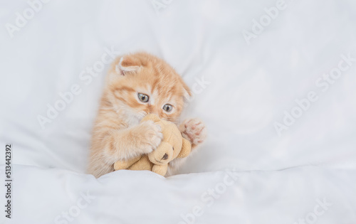 Cute tiny kitten hugs favorite toy bear under white warm blanket on a bed at home.Top down viewю Empty space for text