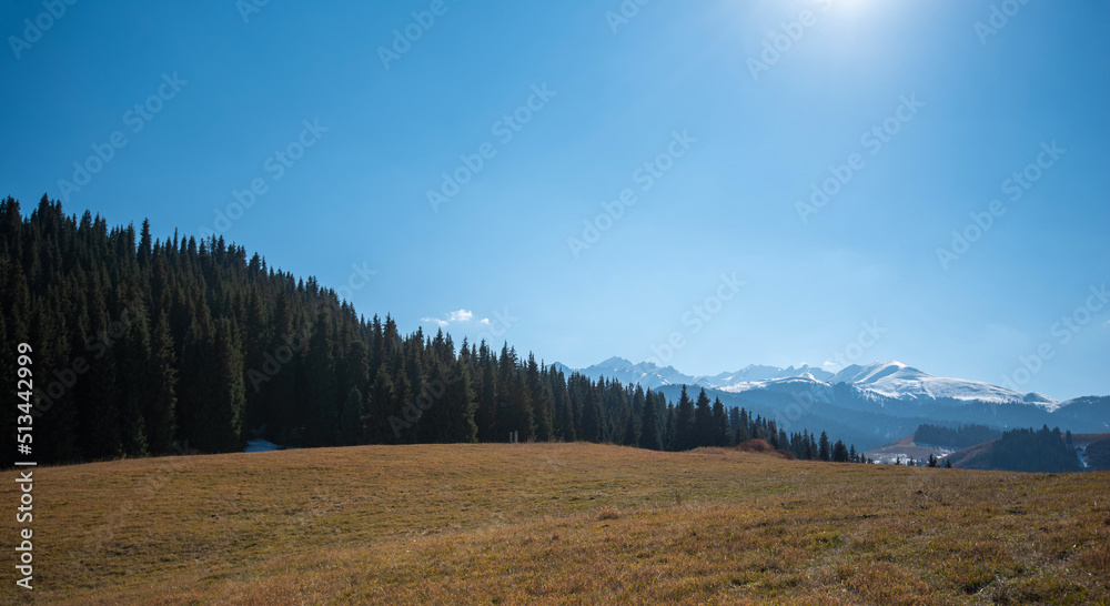 Autumn landscape with a mountain range in the distance and a yellow slope with dry autumn grass in the foreground. High mountains with snow-capped peaks and firs in a blue haze.