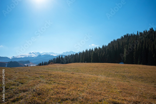 Autumn landscape with a mountain range in the distance and a yellow slope with dry autumn grass in the foreground. High mountains with snow-capped peaks and firs in a blue haze.