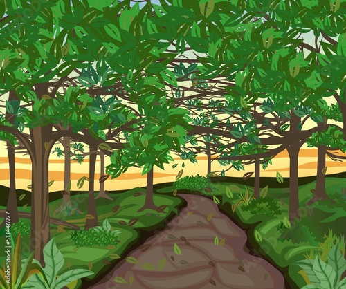 Landscape of Forest Scenery with Small Road. Cartoon Nature with Forest in the dusk Vector Illustration