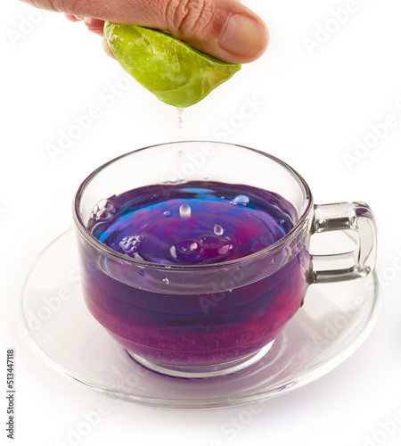 Hand squeezing lemon juice to Butterfly pea tea will turn the water purple. Butterfly pea tea isolated on white background. herbal tea.