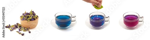 Butterfly pea tea made from dried butterfly pea flowers has a blue tint and when squeezed lemon juice will turn the water purple. Butterfly pea tea isolated on white background. herbal tea.