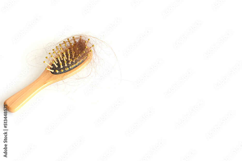 Brown hair, hair loss every day, serious problems and hair loss on a white background. Brown hair, hair loss every day, serious problems and hair loss on a white background.