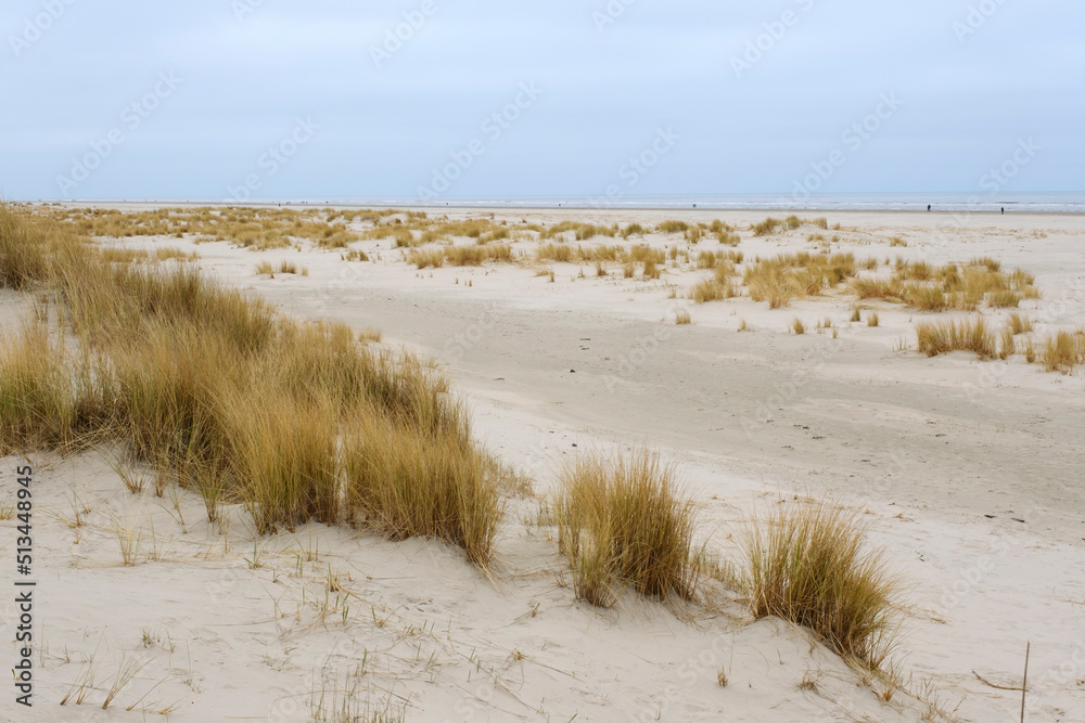 Sanddüne, Nationalpark Wattenmeer, Juist, Ostfriesische Insel, Ostfriesland, Niedersachsen, Deutschland