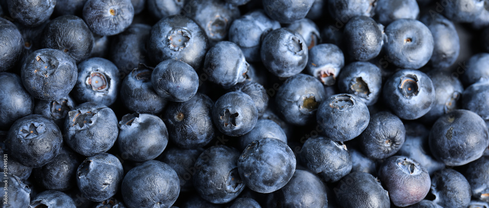 Tasty fresh blueberries as background, closeup view. Banner design Tasty fresh blueberries as background, closeup view. Banner design