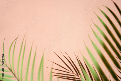 Palm leaves and shadows on sienna background. Minimalism.