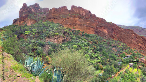 Spain, Province of Las Palmas, Panoramic view of Guayadeque Ravine in summer photo