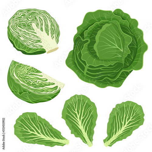 Foto Set of white cabbage with leaves, cabbage halves, slices