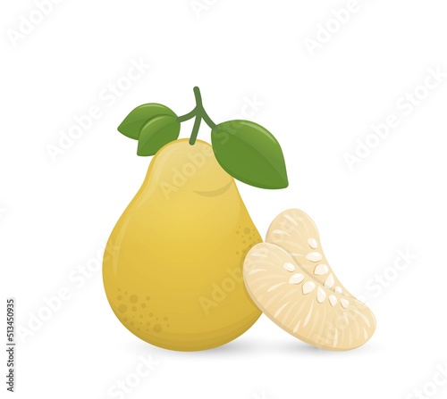 Vector of fresh tasty pomelo with pulp isolated