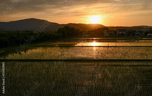 夕日と田園風景（滋賀県）