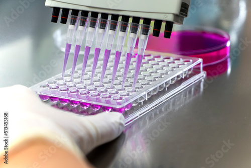 Researcher using micropipette dropping solution to microplate, for biologic tests. 96 well plate with samples for biological analysis. Scientist hand holding microplate for biomedical research.  Clos photo