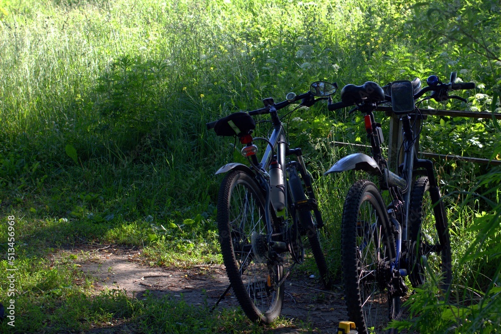 Fototapeta premium bike in the park