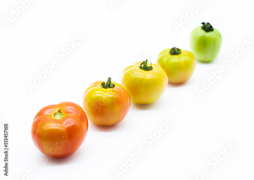 tomatoes photograph. Different types of tomatoes in a row over on white background