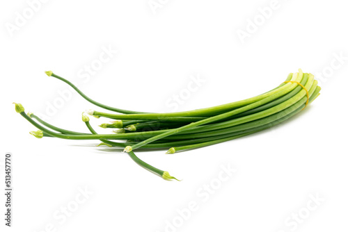 chives or garlic chives isolated on white background.