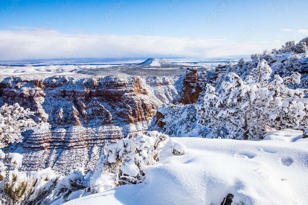 Winter in Grand Canyon National Park, United States Of America