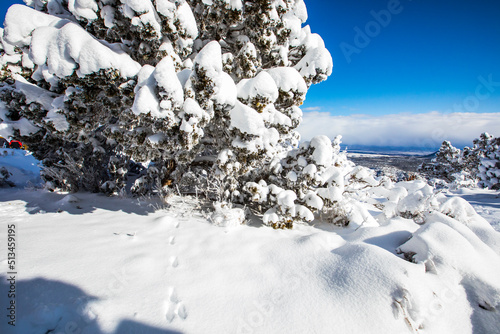 Winter in Grand Canyon National Park, United States Of America