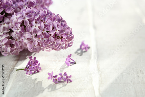A branch of lilac on white wooden table Copy space