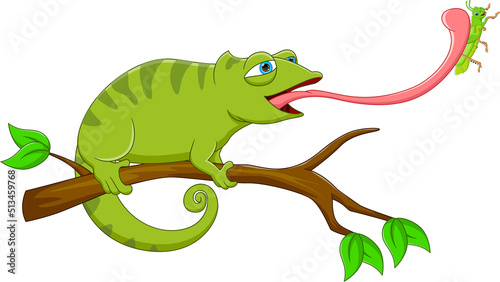 cartoon chameleon catching grasshopper with tongue