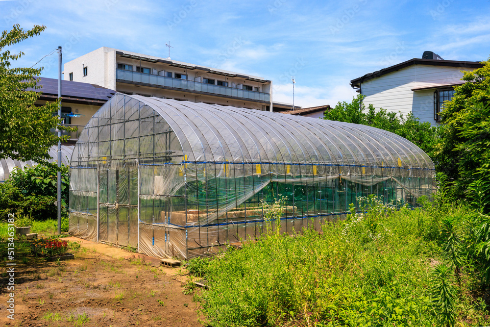 住宅街にある農業用ビニールハウス