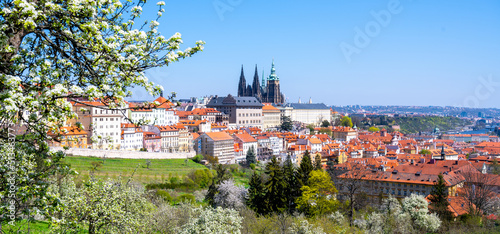 Fotografie Prague Castle on sunny spring day
