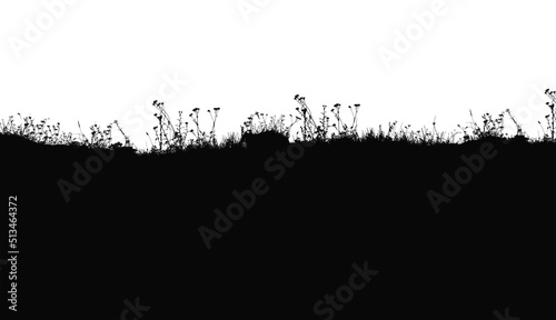 Black silhouette of field vegetation on white background