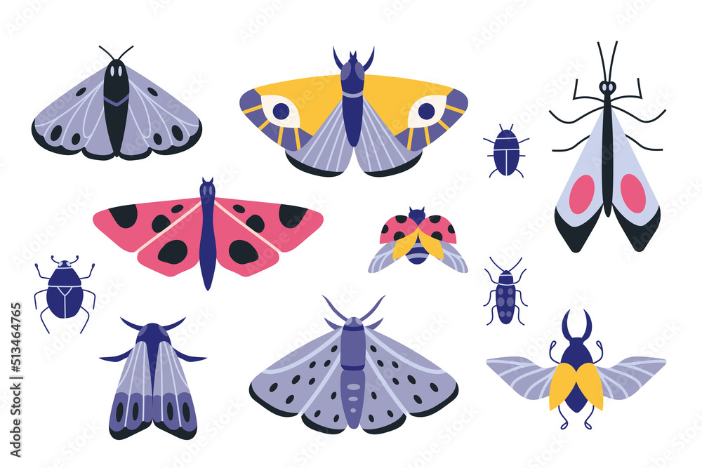 Collection of exotic butterflies, moths and bugs, cartoon style. Set of insects. Trendy modern vector illustration isolated on white background, hand drawn