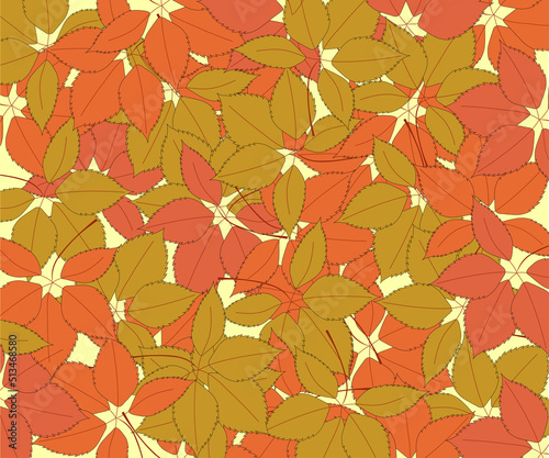 a pattern of red and orange leaves of wild grapes