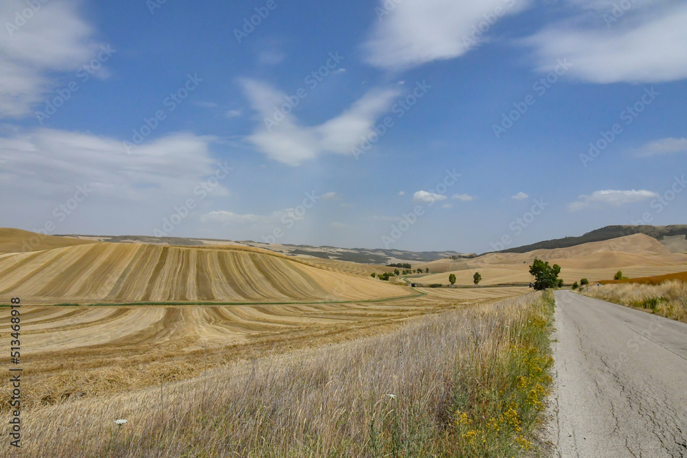 Obraz premium A road among the wheat fields in a landscape of Basilicata, Italy.