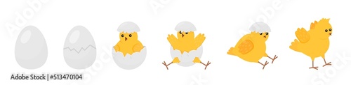 Chick born. Easter newborn chicks hatching from egg. Yellow cute cartoon chicken, farm baby bird. Little domestic animal, funny decent vector banner © LadadikArt