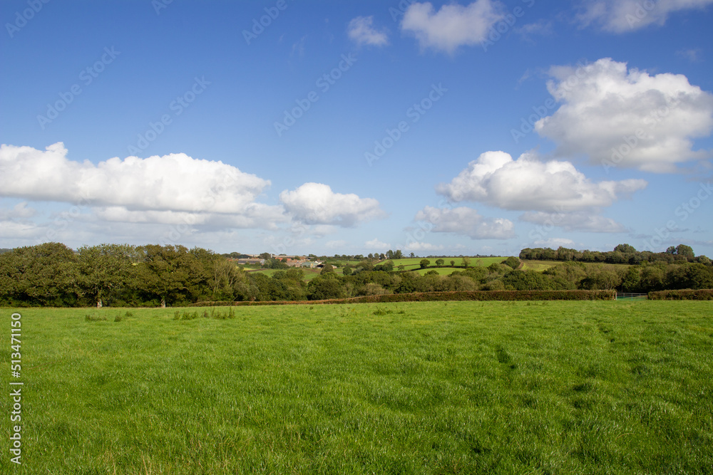 typical Devon countryside with gentle hills with green fields, hedges and woodland with a blue sky and a few white clouds