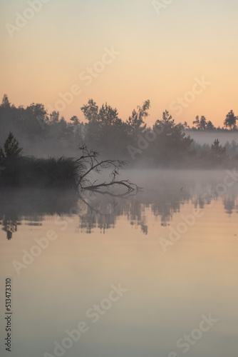 Serene Great Kemeri Bog in Sunrise. Kemeri, Latvia. Travel Baltic countries
