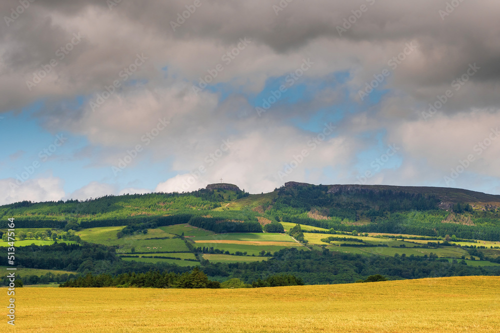 Huge wheat field and blue cloudy sky. Food supply chain business. Bread and pastry production. Rich golden color of the plant. Beautiful nature scene. Devils bit mountain in the background. Ireland.