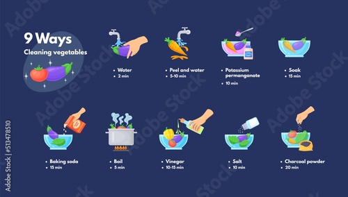 Washing vegetables. Clean food for cook, hygiene safety nutrition, infographic cleaning vegetable with salt and vinegar, hand cooking washed food