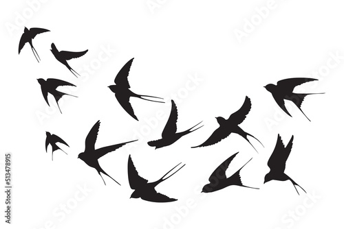 Flock of swallows. Silhouettes crowd flying birds away sky, flyingof sea free black bird aloft swift flight swarm swallow above cloud skyline, silhouetts neat vector illustration photo