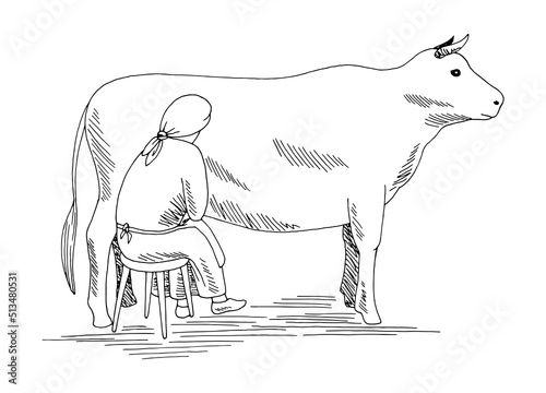 Woman milking a cow graphic black white isolated sketch illustration vector