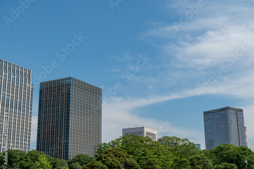 東京都千代田区丸の内から見た東京の都市景観 © zu_kuni