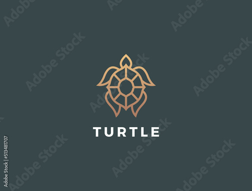 Turtle logo design. Modern icon. Sea turtle illustration.
