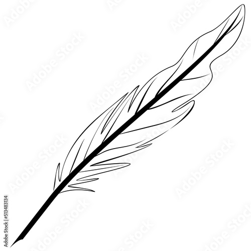 Goose Quill