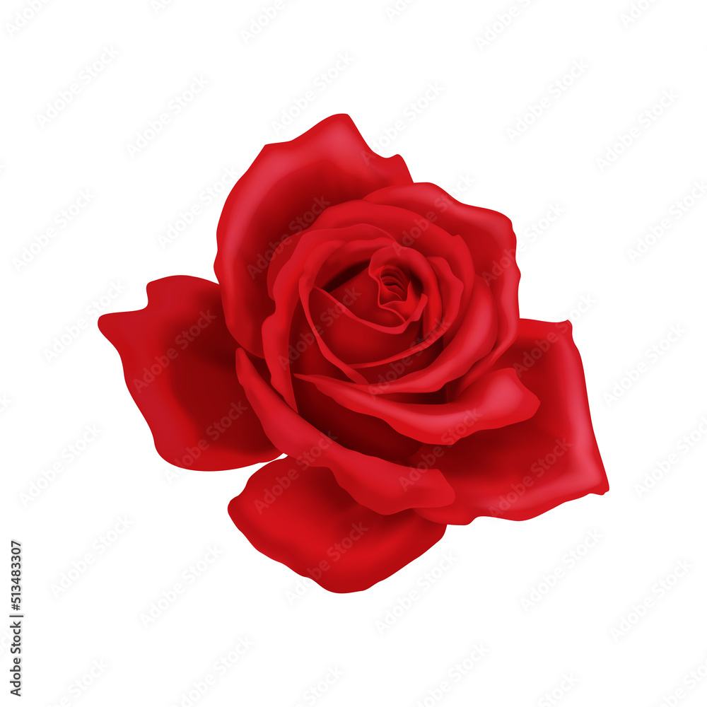 Red Rose Head Composition Red Rose Head Composition