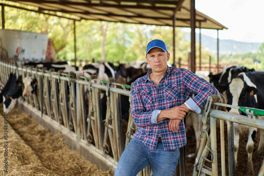 farmer cowboy at cow farm ranch