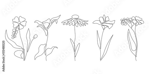 Abstract one continuous line wild flowers set. Chamomile lily flower bud and blossom. Botanical modern aesthetic line art for home decor, wall art posters. Hand drawn mnimalist vector illustration