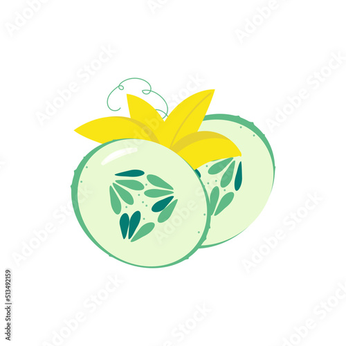 Vector illustration of cucumber. Two slices of green cucumber with yellow color. Vegetable drawing for kitchen decoration or textile print.