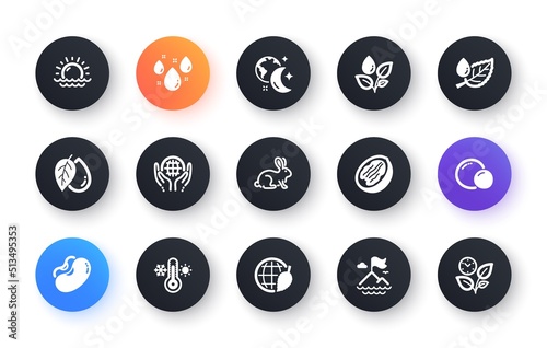 Minimal set of Mountain flag, Environment day and Leaf dew flat icons for web development. Pecan nut, Rainy weather, Organic tested icons. Peas, Mineral oil, Plants watering web elements. Vector
