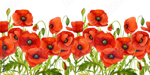 Red poppies. Floral seamless horizontal border with hand-painted watercolor flowers. Summer flowers.