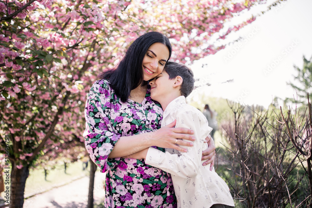 pregnant woman with eldest son in sakura flowers in spring pregnant woman with eldest son in sakura flowers in spring