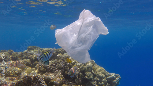 Plastic pollution of the Ocean, a discarded wtite plastic bag on tropical coral reef, on the blue water background swims school of tropical fish. Underwater shot. Red sea, Egypt